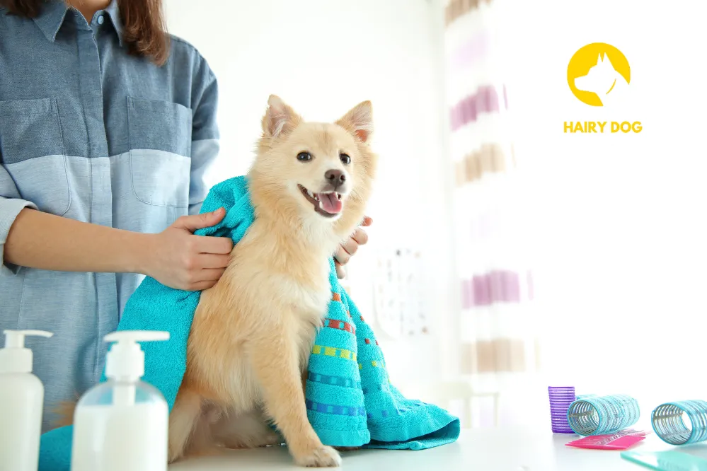 Seasonal Grooming Tips